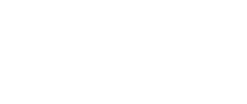Salon Novo Logo
